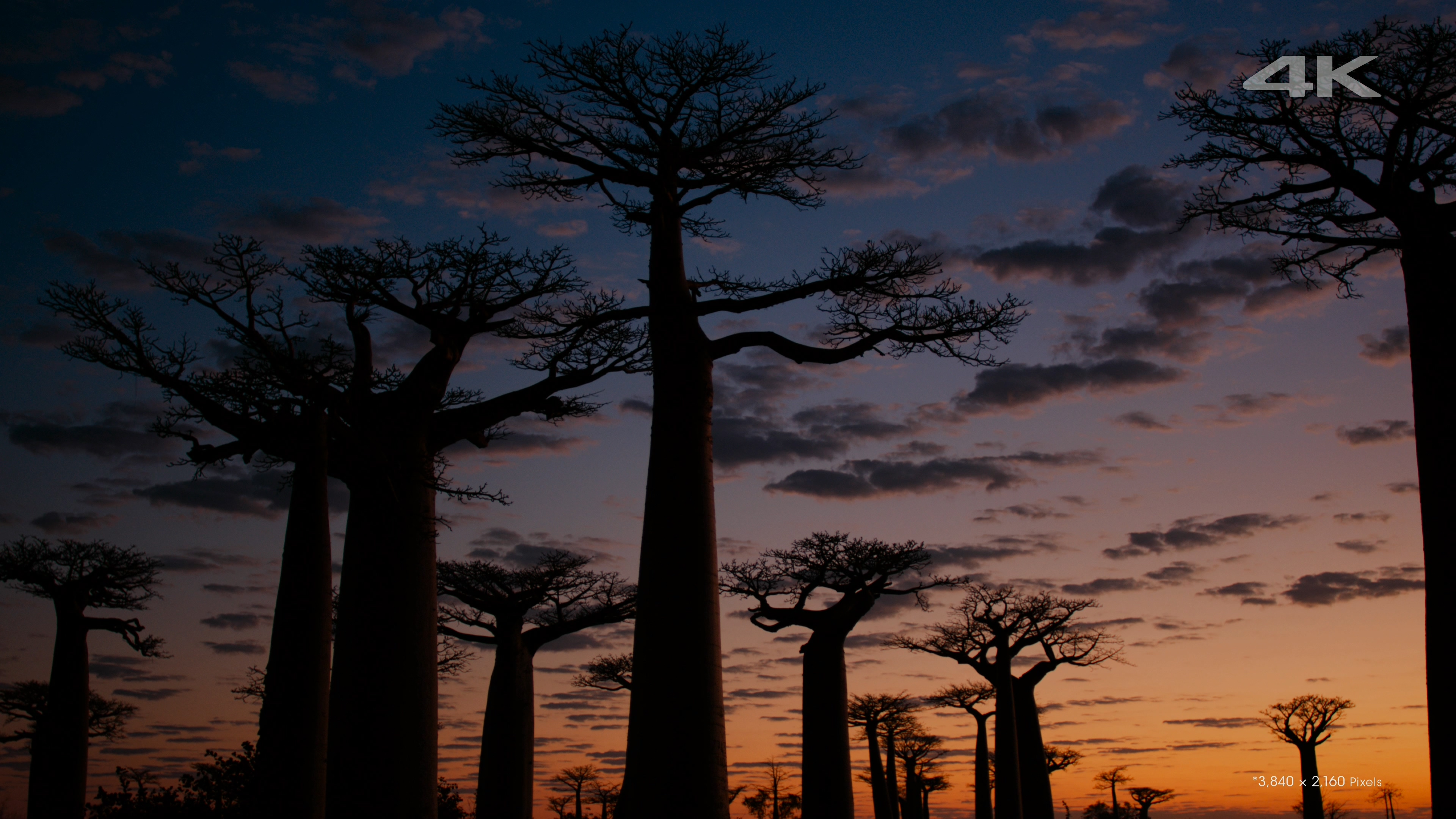 [索尼.4K.演示片] 另一个世界Another World.mkv_000034.133.jpg