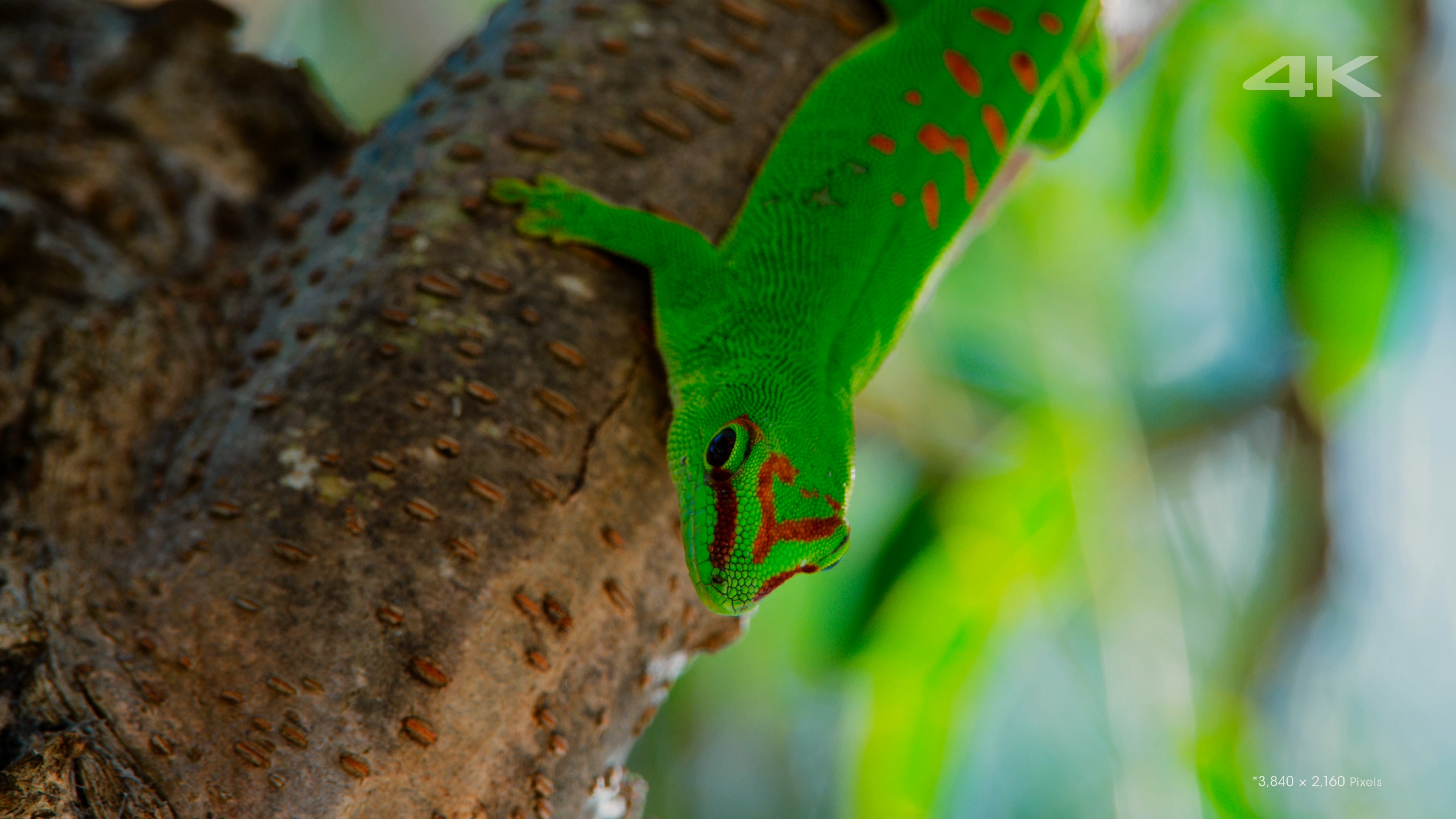 [索尼.4K.演示片] 另一个世界Another World.mkv_000159.934.jpg