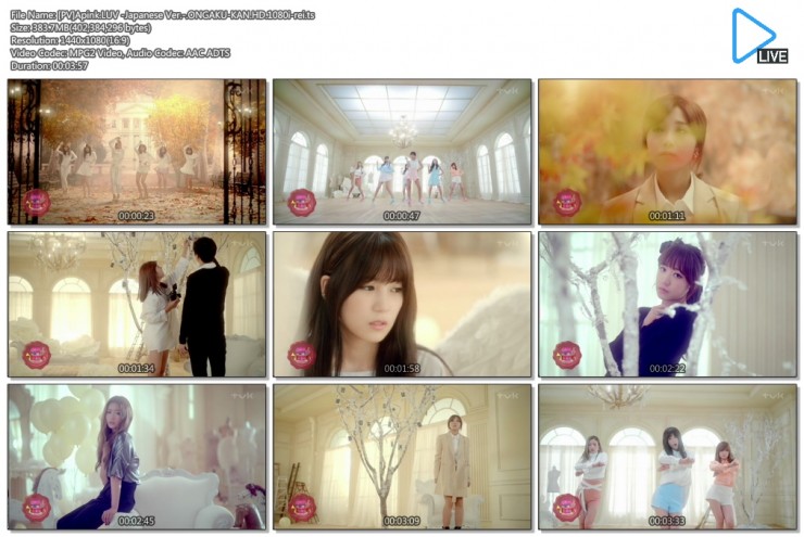 1889675891_xBEcJpo7_5BPV5DApink.LUV_-Japanese_Ver.-.ONGAKU-KAN.HD.1080i-rei.ts.jpg