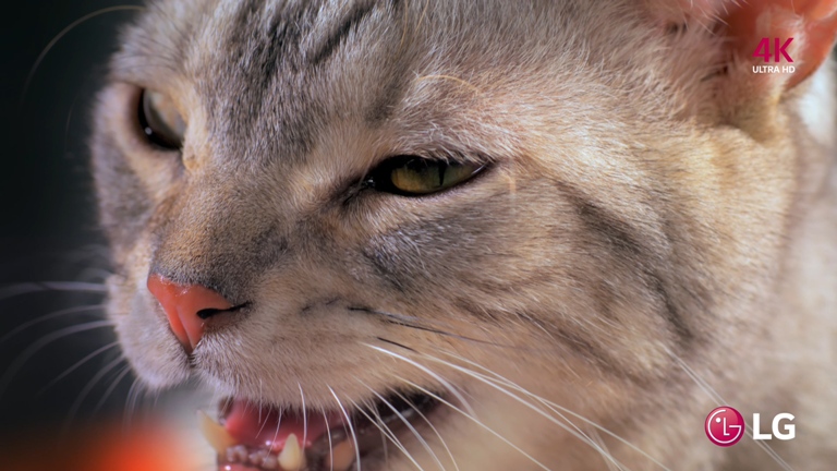 [LG.4K.演示片] 观的感觉ViewtheFeeling_HEVC.mp4_20150507_123012.187.jpg