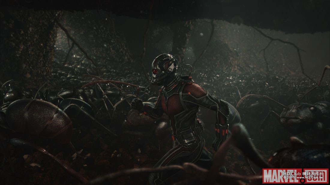 ant-man-image.jpg