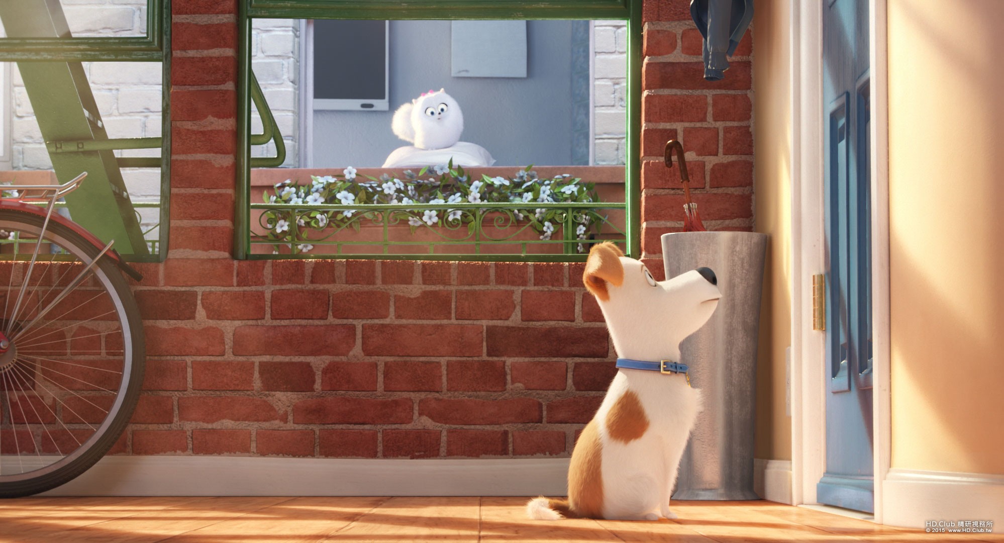 Pets-Gallery-01.jpg