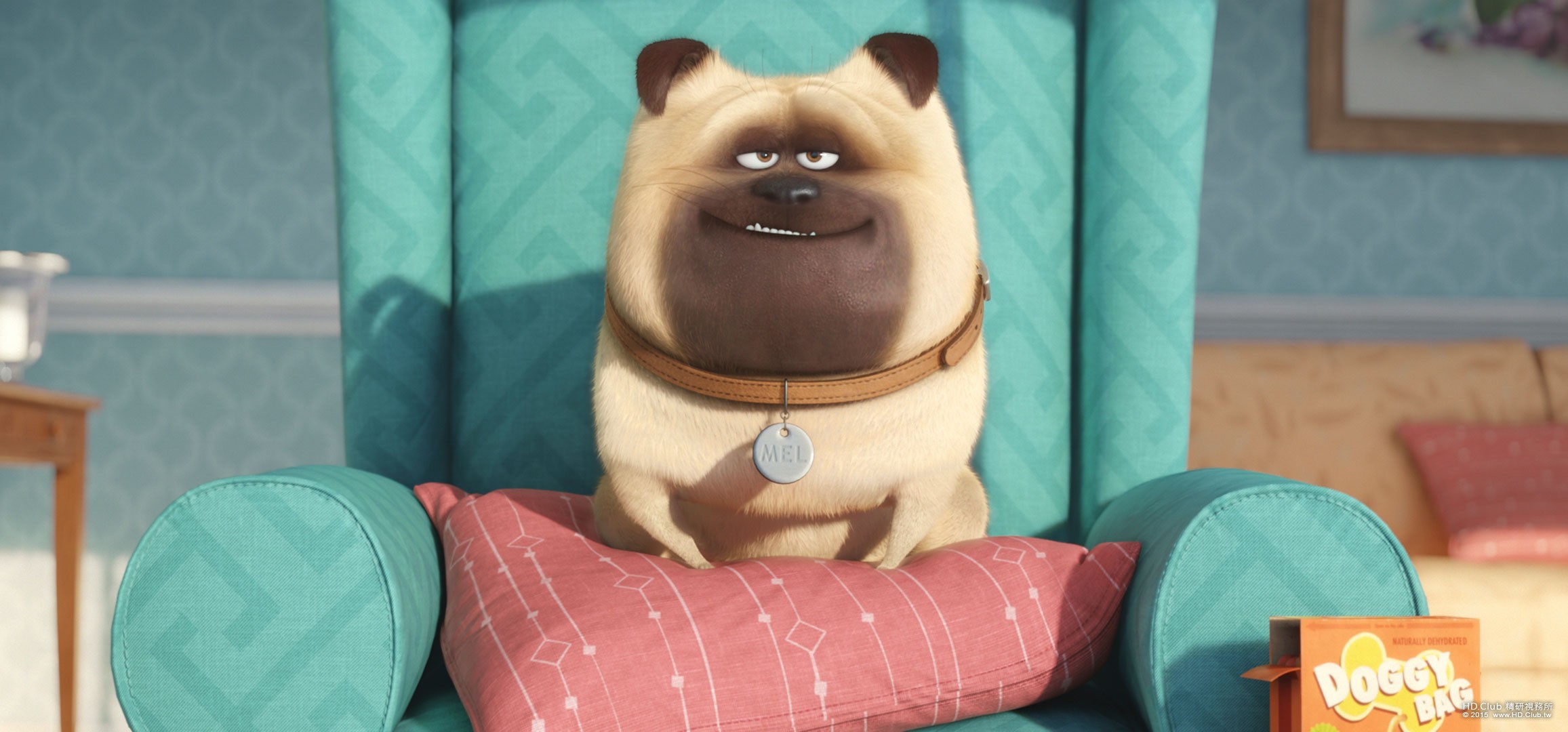 Pets-Gallery-05.jpg