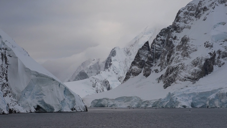 [索尼.4K.演示片] 北极动物.mp4_20150711_191450.640.jpg