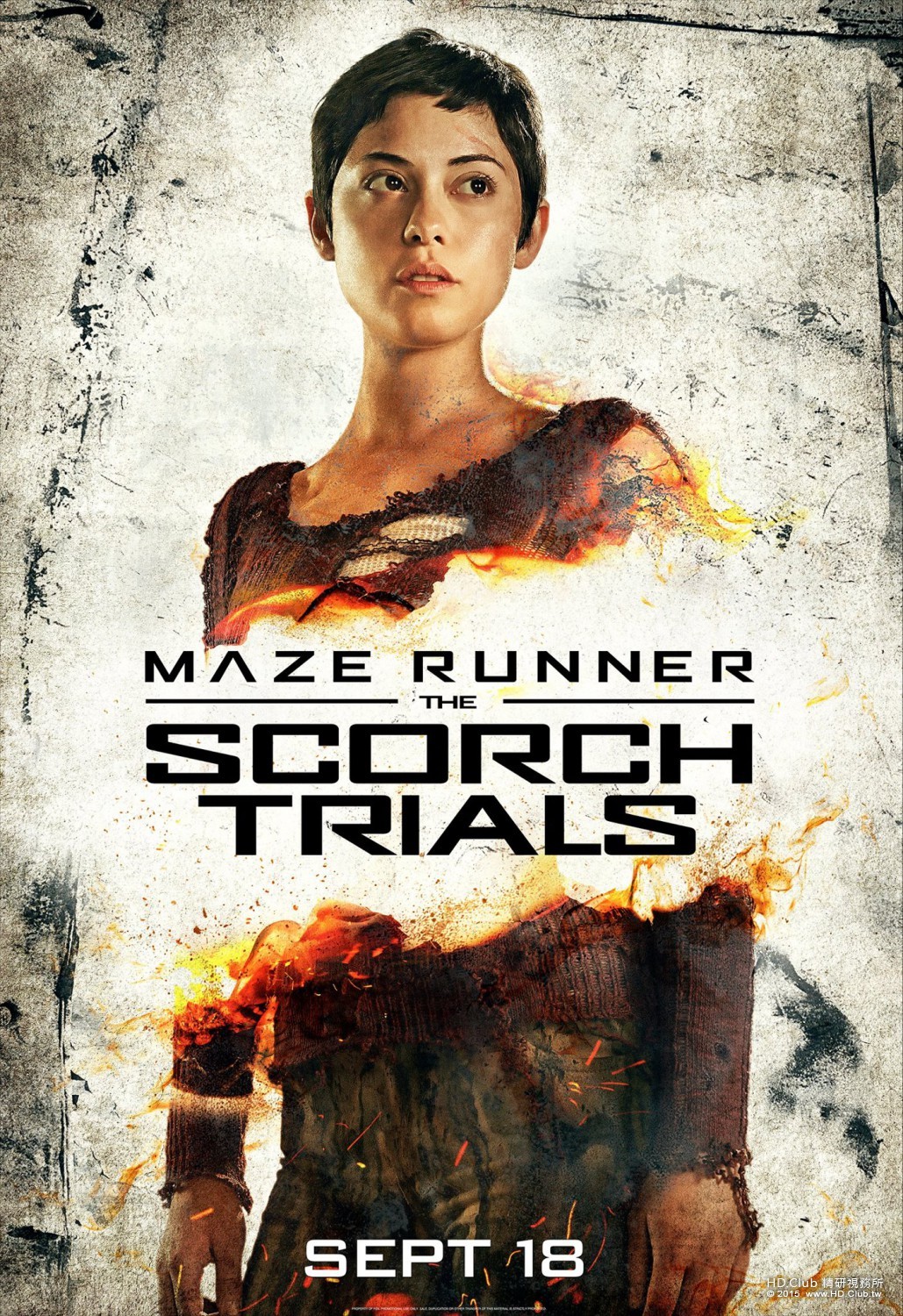 maze_runner_the_scorch_trials_ver4_xlg.jpg