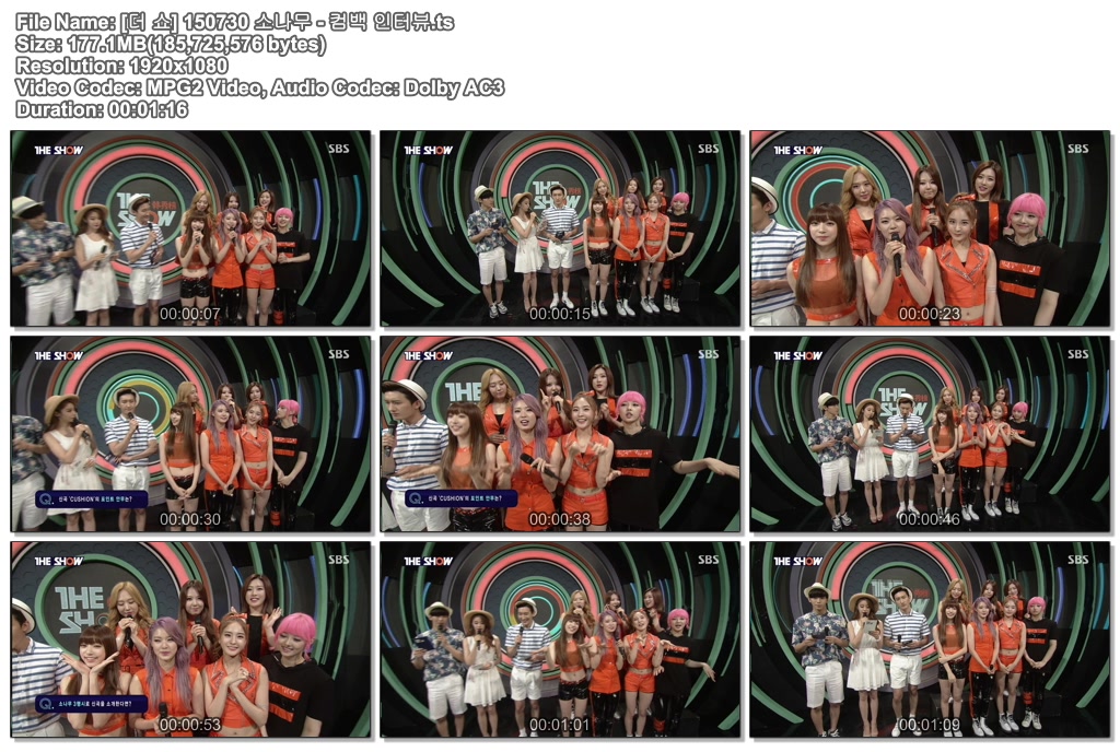 [더 쇼] 150730 소나무 - 컴백 인터뷰.ts.jpg