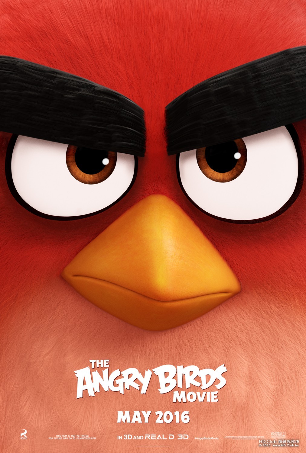 angry_birds_xlg.jpg