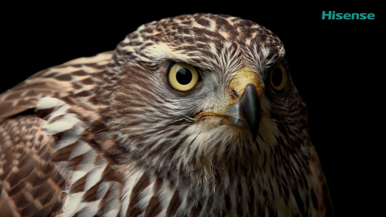 [海信.4K.演示片] 影像之美(2160P).mp4_20150924_161215.437.jpg