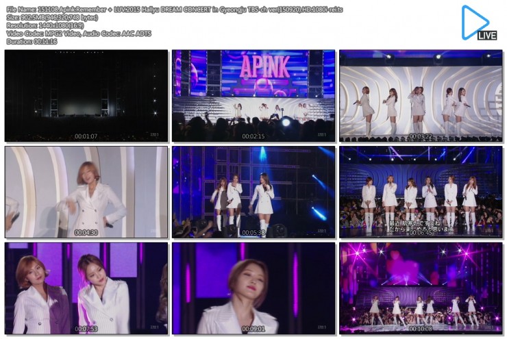 1889675891_8YaMNJwn_151108.Apink.Remember_2B_LUV.2015_Hallyu_DREAM_CONCERT_in_Gy.jpg