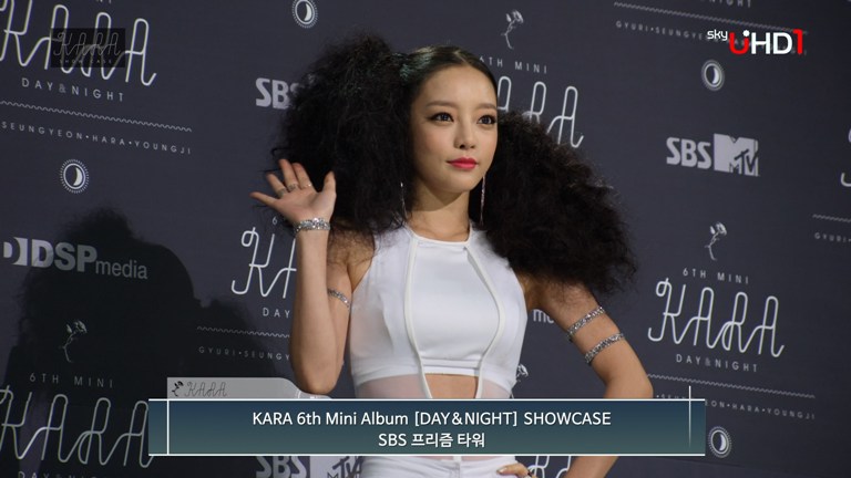 [SkyUHD.4K.现场] 韩国KARA - DAY&NIGHT 2160p UHDTV  HEVC_60fps_10bit.ts_snapshot_.jpg