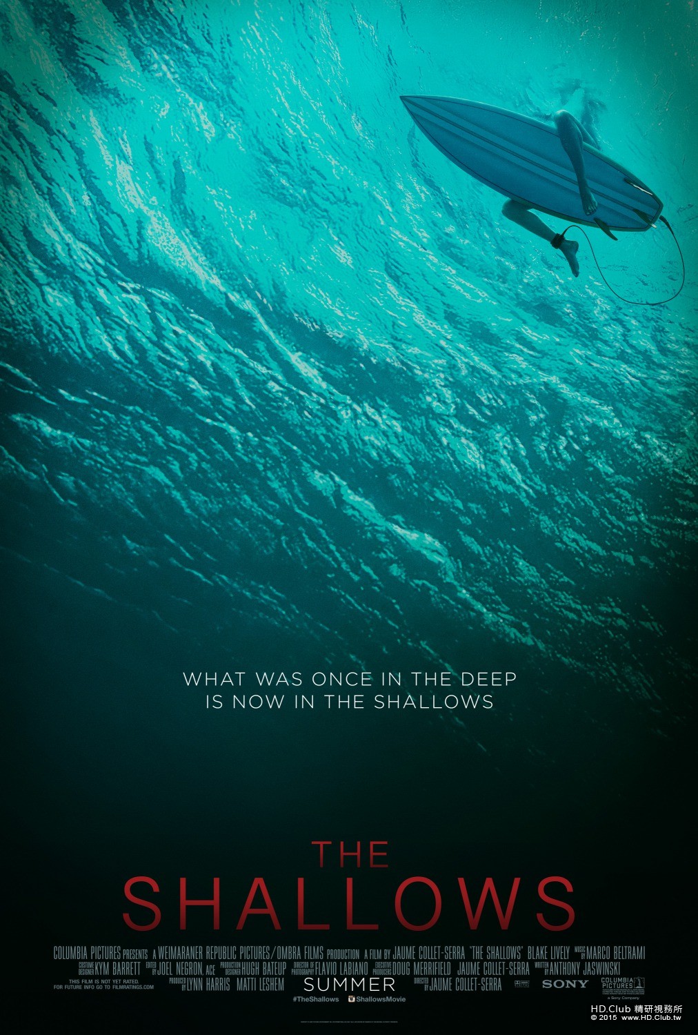 shallows_xlg.jpg