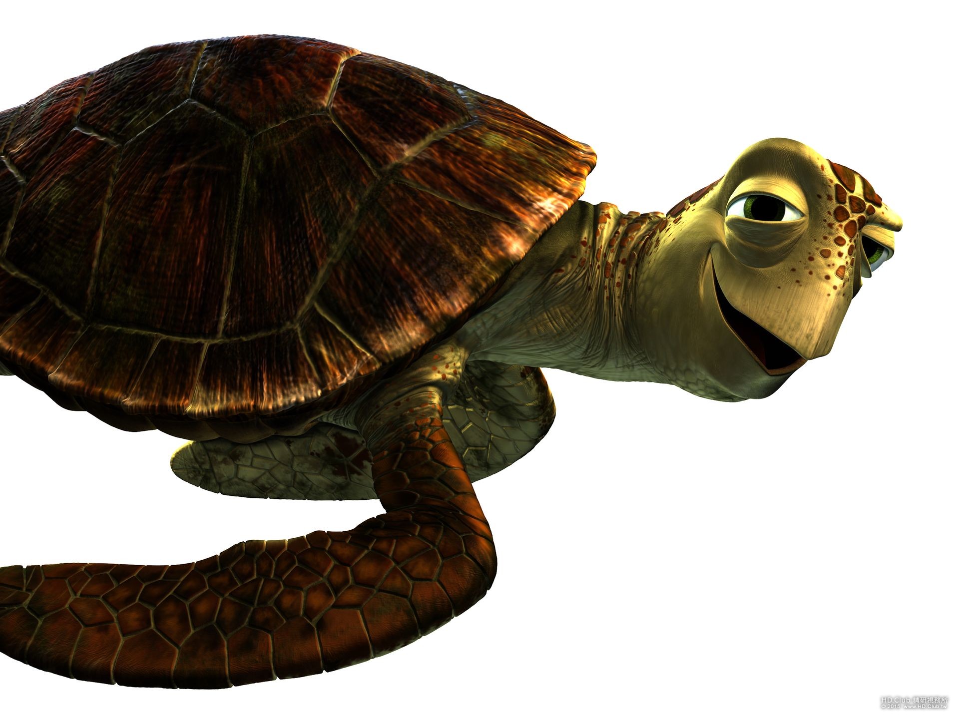 finding-dory-crush-andrew-stanton-sea-turtle.jpg