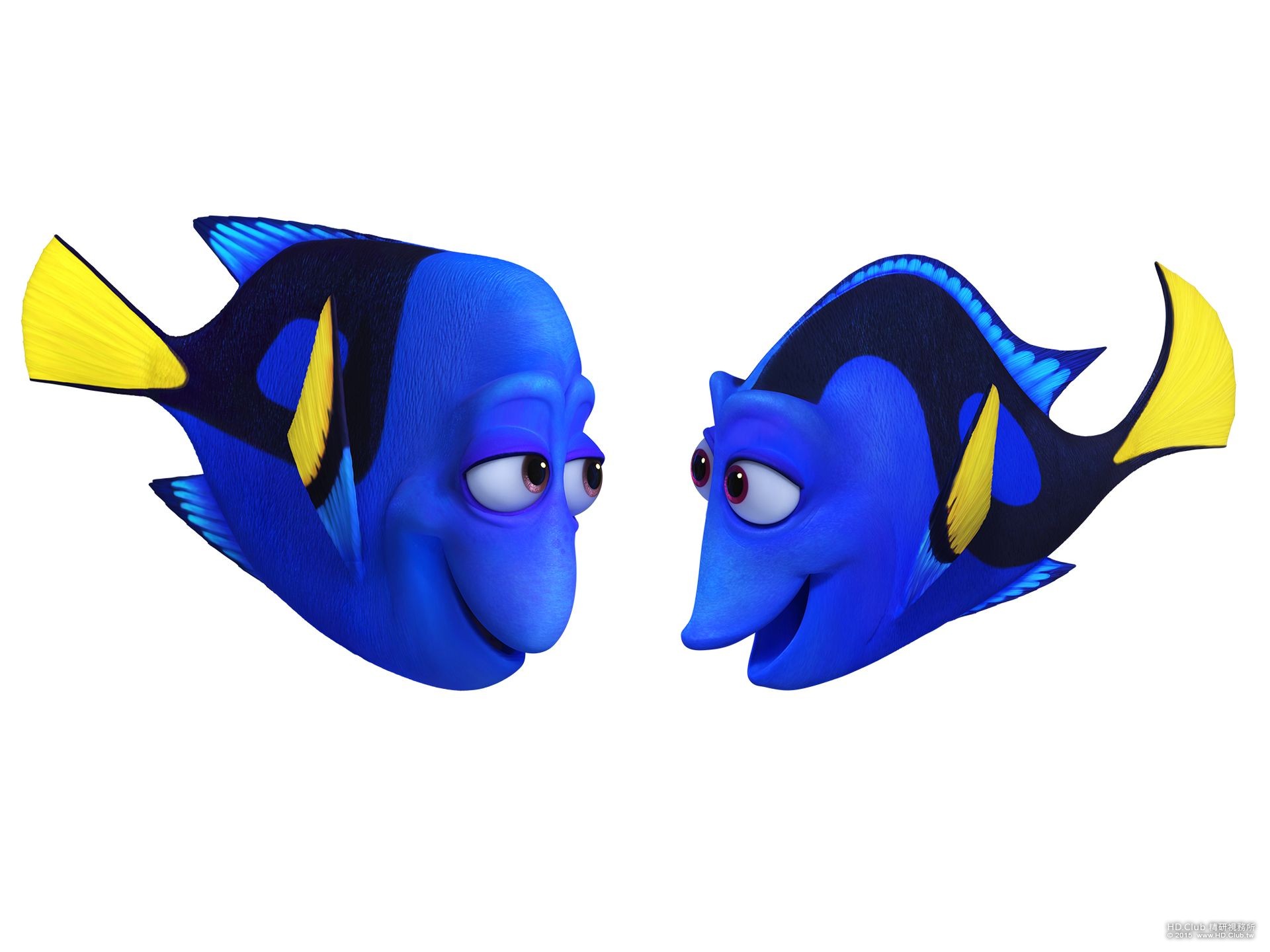 finding-dory-parents-eugene-levy-diane-keaton-charlie-jenny.jpg