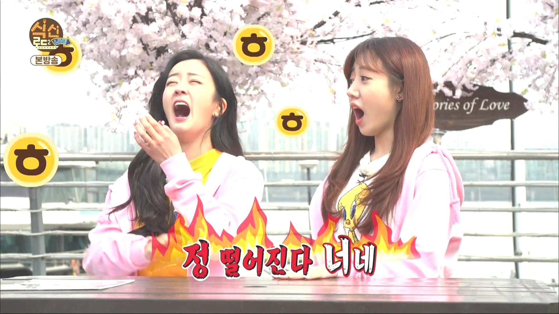 160407.k-star.식신로드2 Live.e4.HDMI.1080i.by.Shaytyen.ts_20160411_103600.956.jpg