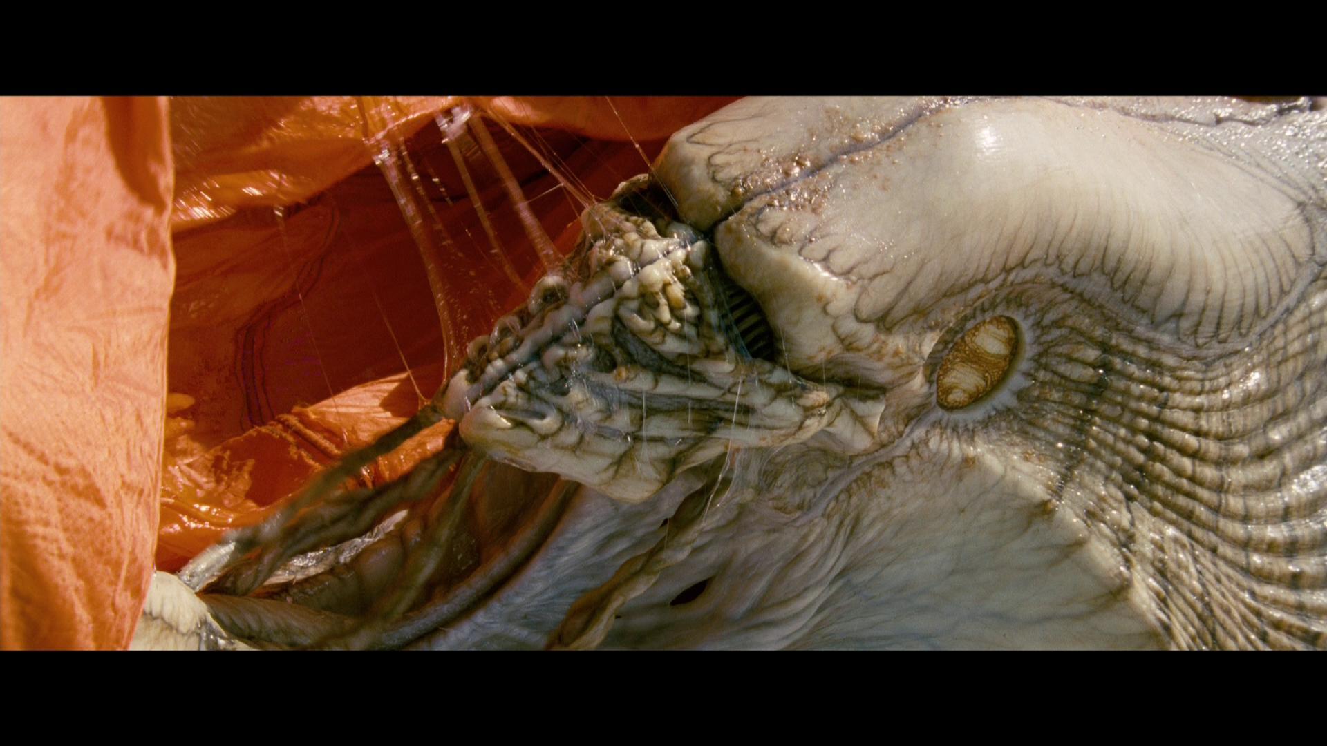 High-Def-Digest-www.highdefdigest_.com-Blu-ray-Independence-Day-4k_4_.jpg