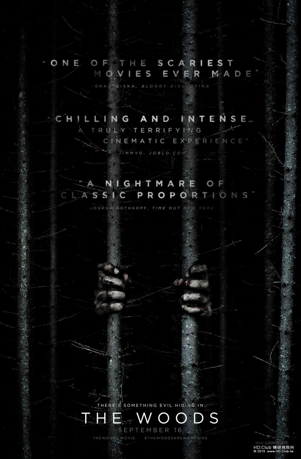 woods_xlg.jpg