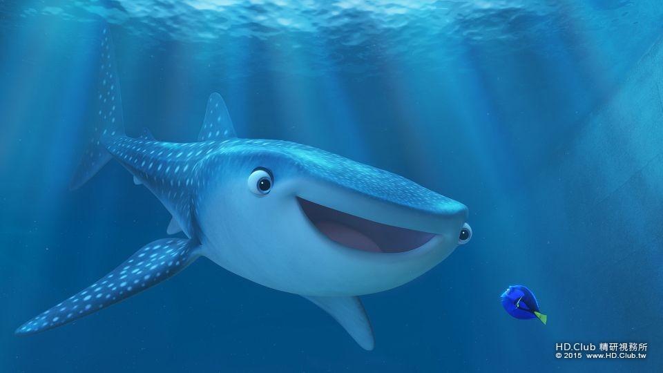 finding-dory-k215_33ag_pub.pub16.213.jpg