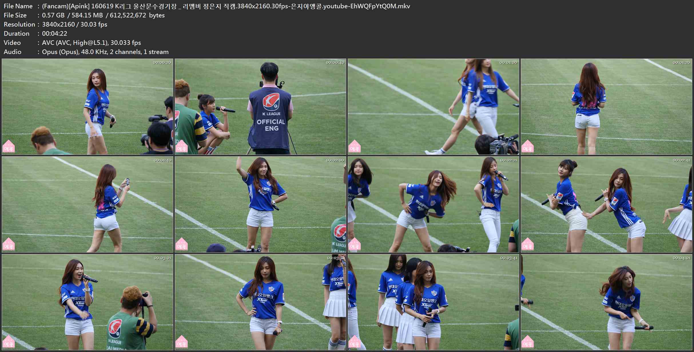 (Fancam)[Apink] 160619 K리그 울산문수경기장 _ 리멤버 정은지 직캠.3840x2160.30fps.jpg