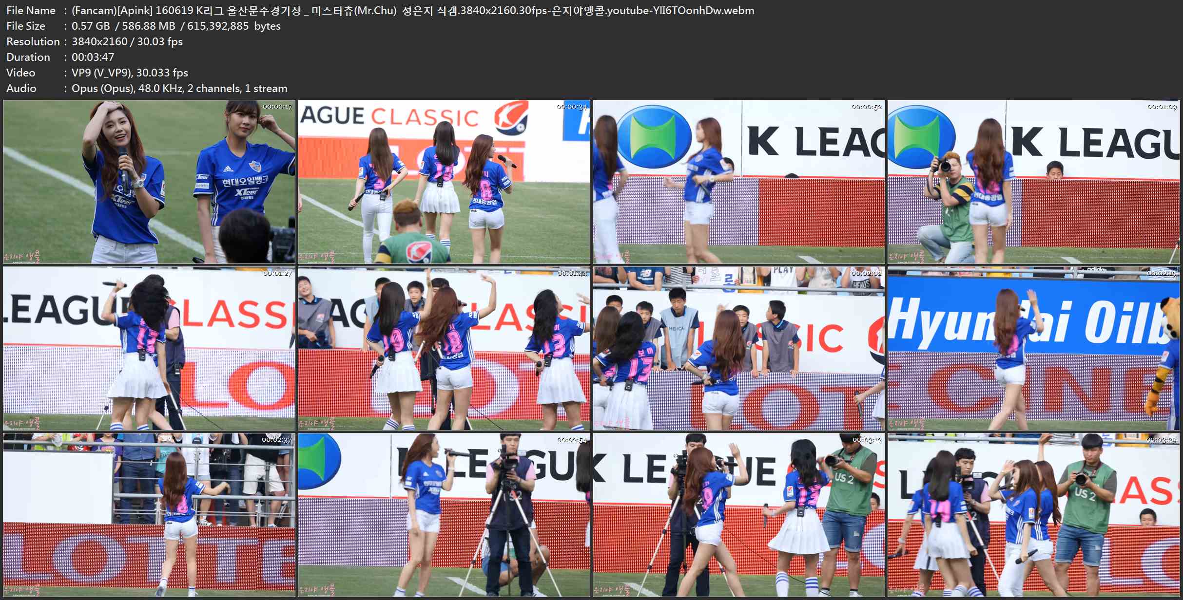 (Fancam)[Apink] 160619 K리그 울산문수경기장 _ 미스터츄(Mr.Chu)  정은지 직캠.3840.jpg