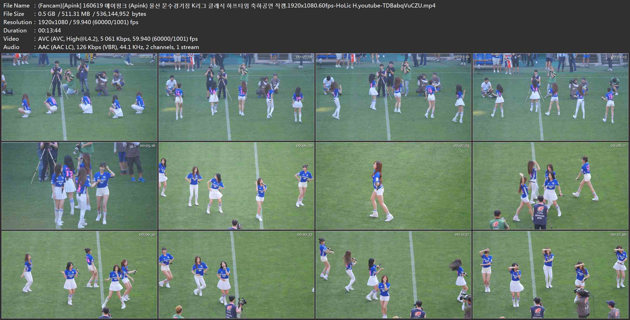 (Fancam)[Apink] 160619 에이핑크 (Apink) 울산 문수경기장 K리그 클래식 하프타임 축.jpg