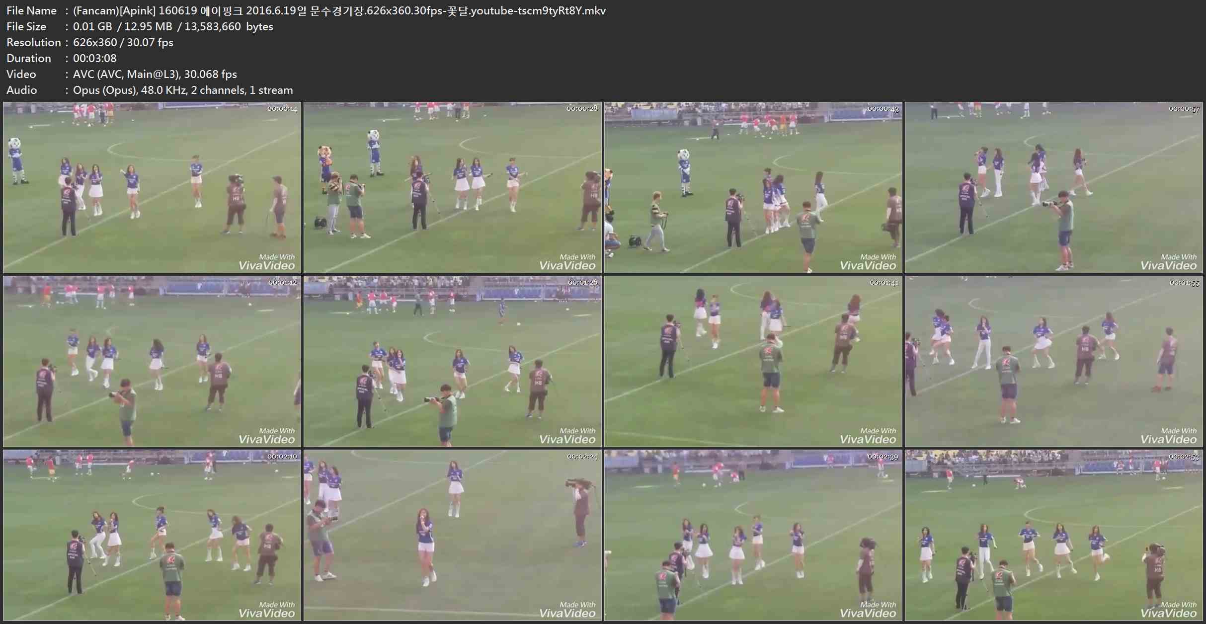 (Fancam)[Apink] 160619 에이핑크 2016.6.19일 문수경기장.626x360.30fps-꽃달.youtub.jpg