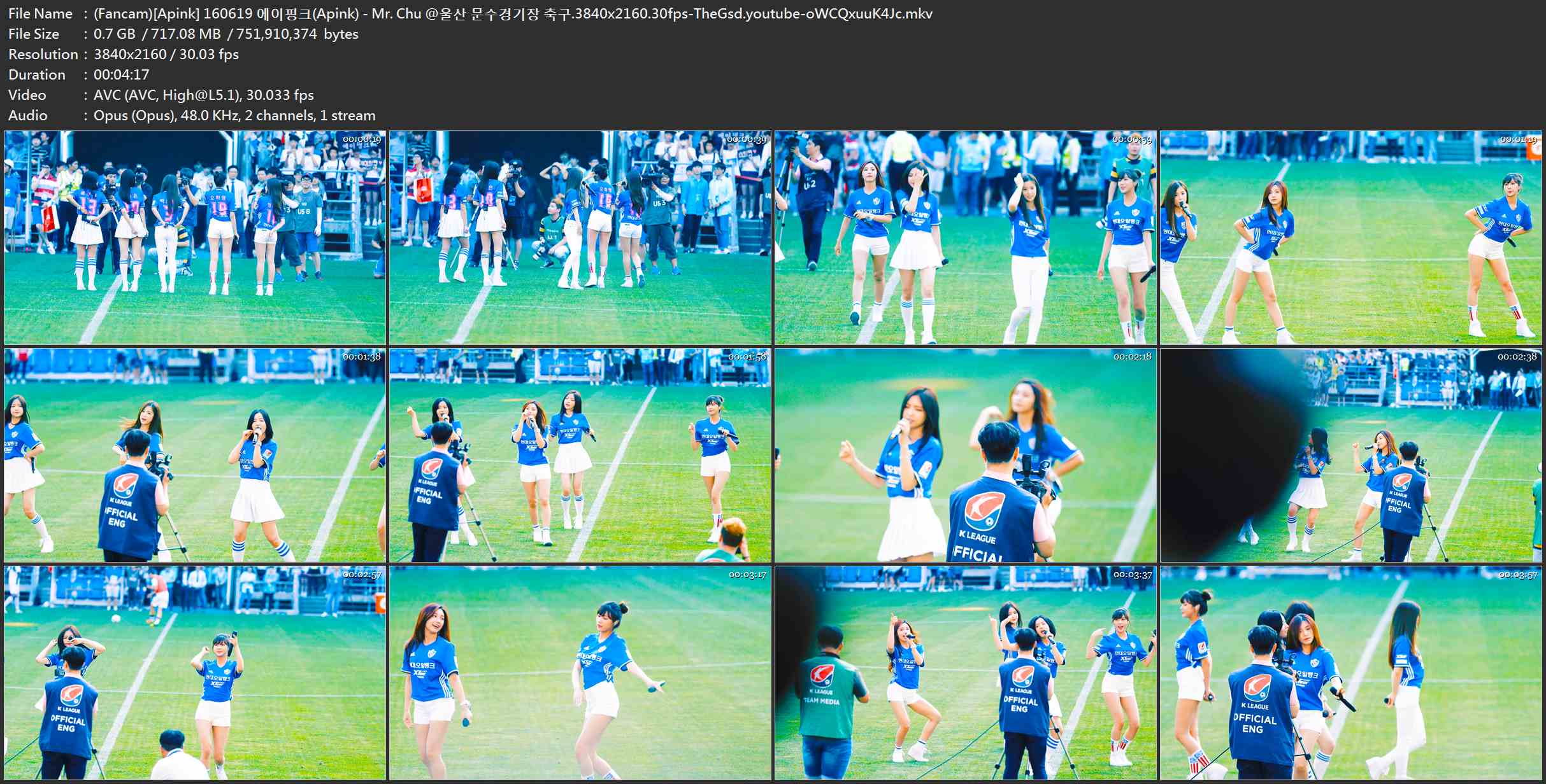 (Fancam)[Apink] 160619 에이핑크(Apink) - Mr. Chu @울산 문수경기장 축구.3840x2160.jpg