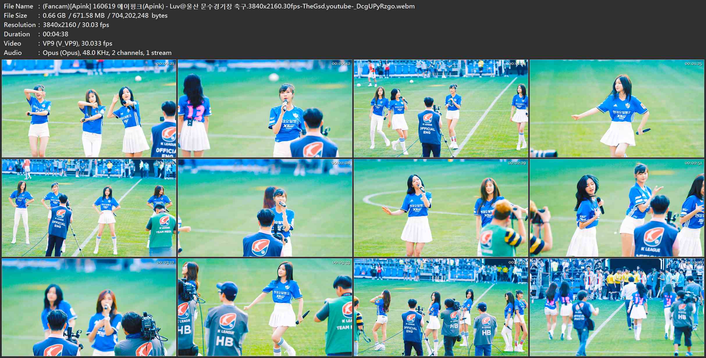 (Fancam)[Apink] 160619 에이핑크(Apink) - Luv@울산 문수경기장 축구.3840x2160.30fp.jpg