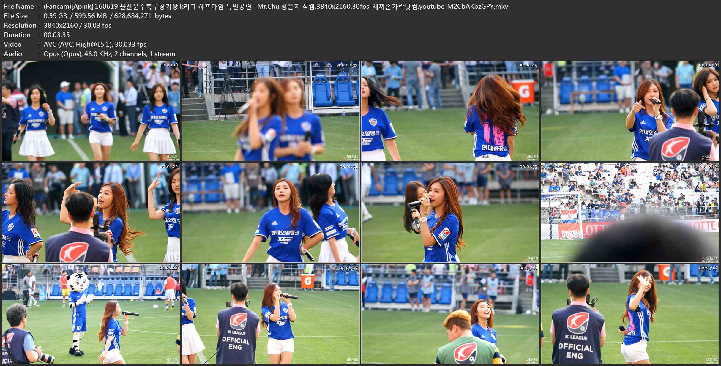 (Fancam)[Apink] 160619 울산문수축구경기장 k리그 하프타임 특별공연 - Mr.Chu 정은.jpg