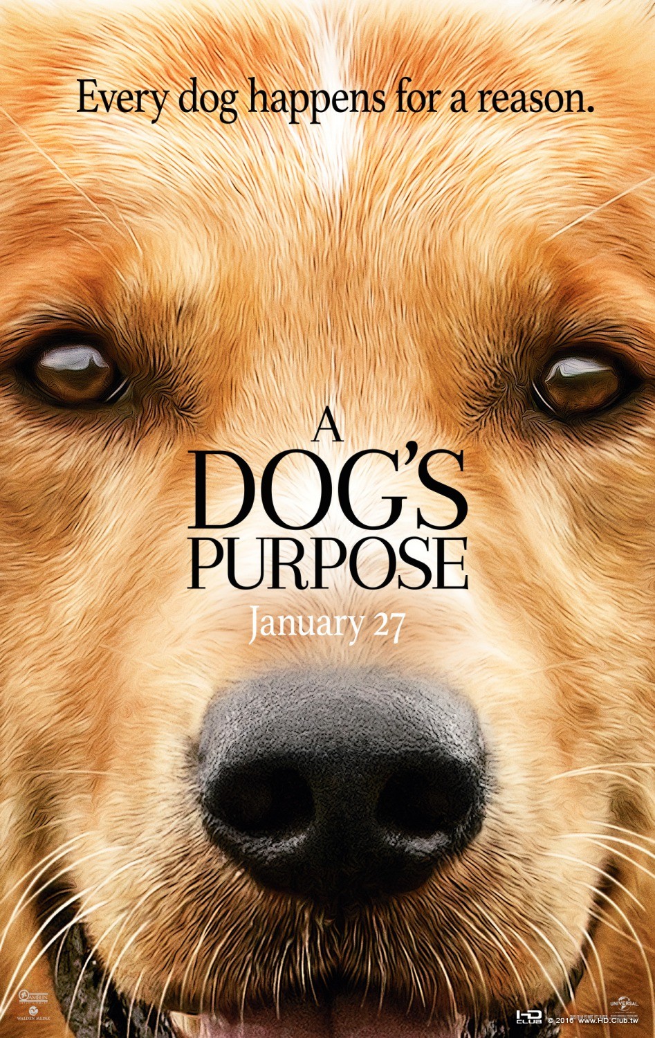 dogs_purpose_xlg.jpg
