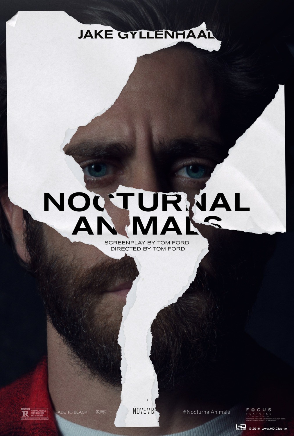 nocturnal_animals_ver3_xlg.jpg