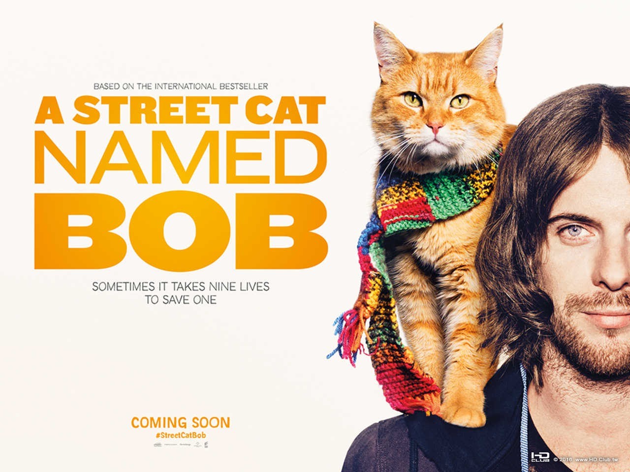 street_cat_named_bob_xlg.jpg