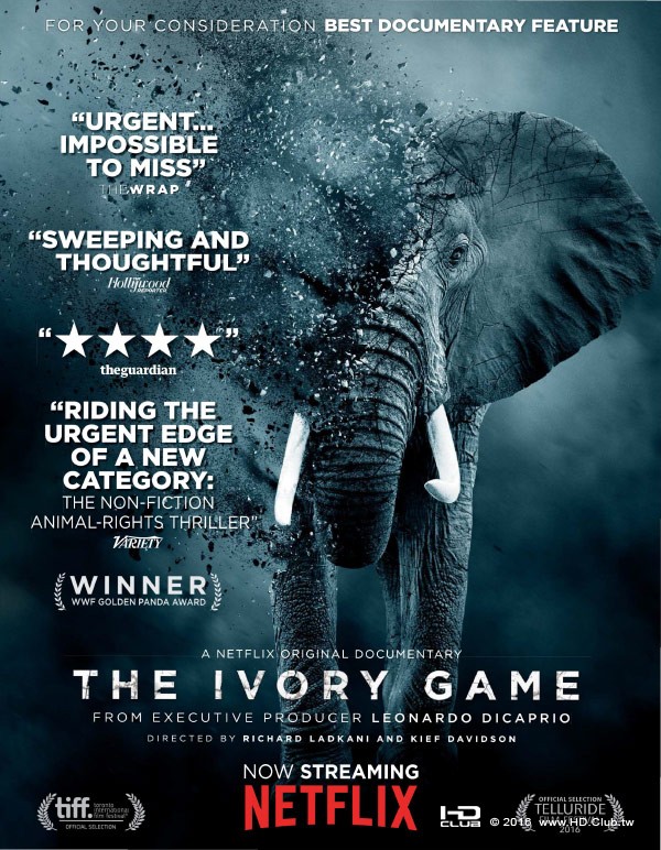 ivorygame1.jpg