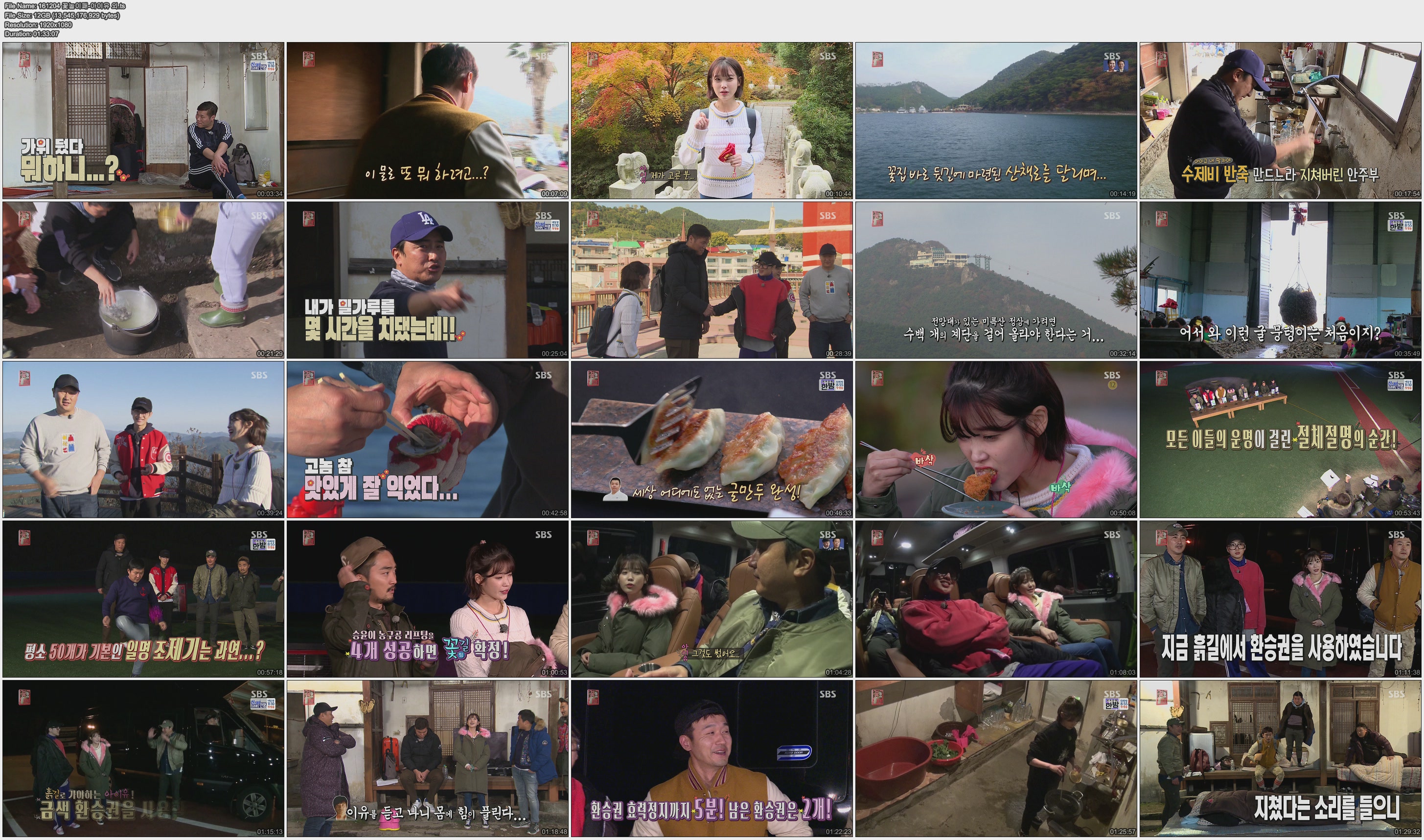 161204 꽃놀이패-아이유 외.ts.jpg