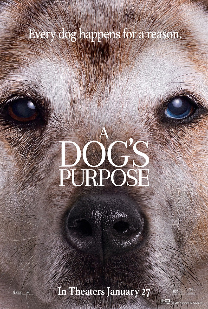 dogs_purpose_ver5_xlg.jpg