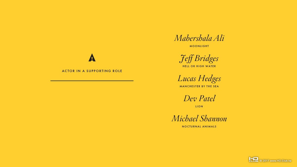 Supporting Actor.jpg