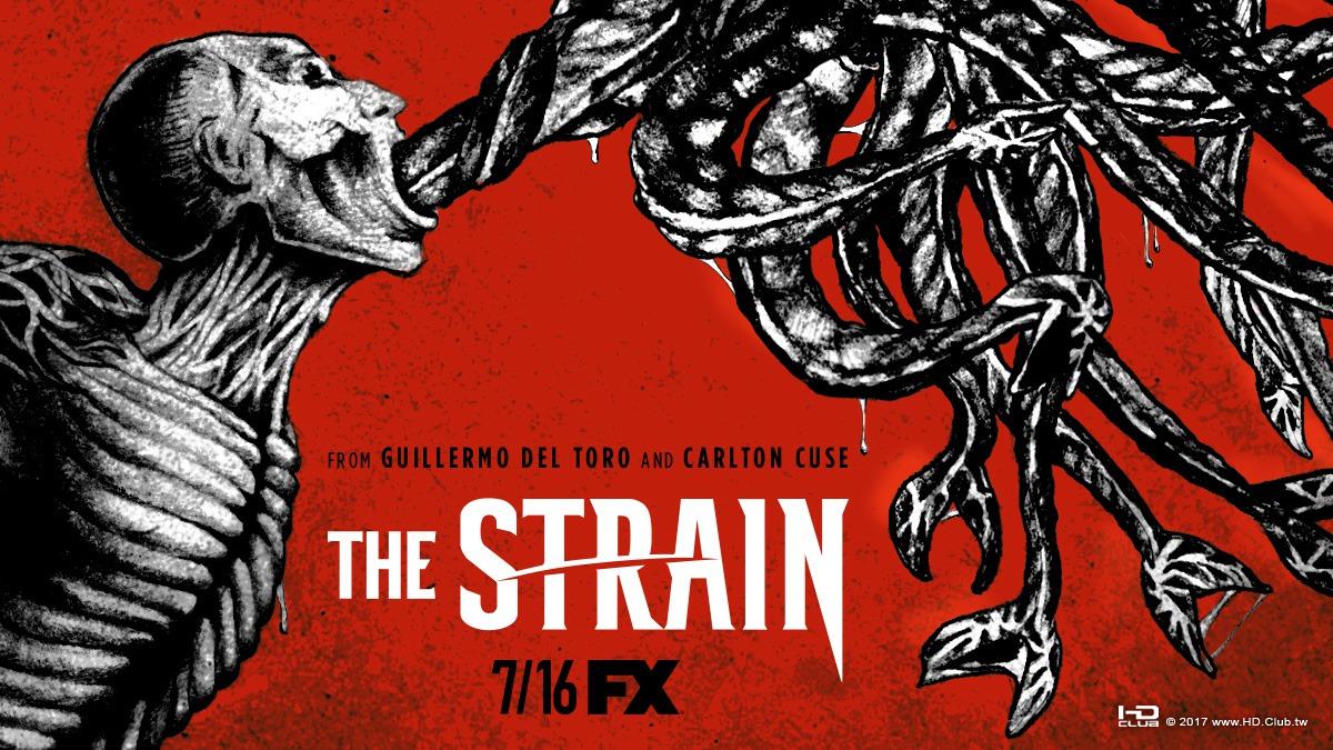 strain_ver17_xlg.jpg