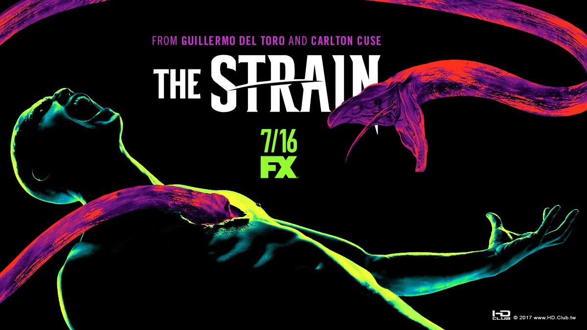 strain_ver16_xlg.jpg