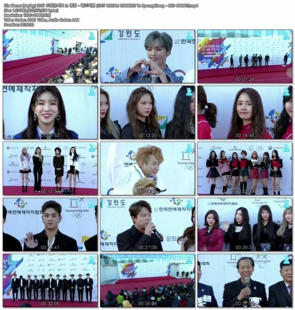 2017 DREAM CONCERT.jpg