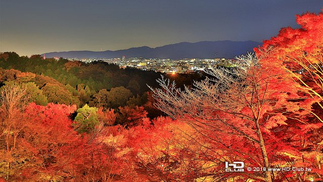 清水寺夜景