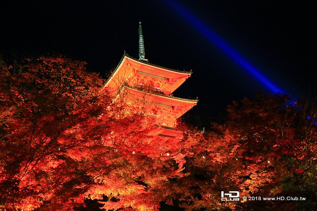 清水寺夜景