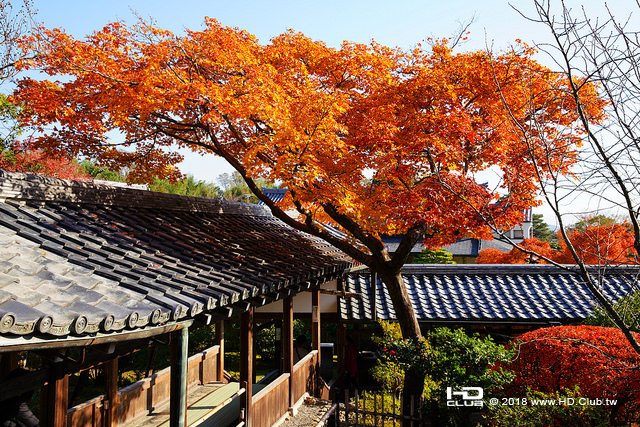 天龍寺