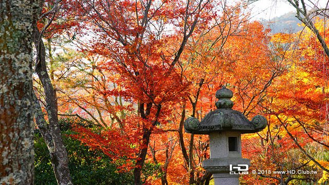 天龍寺