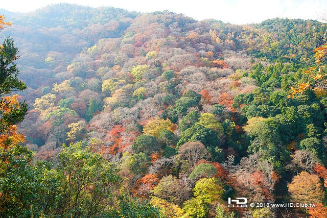 嵐山地區