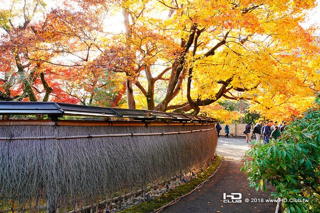 寶嚴院