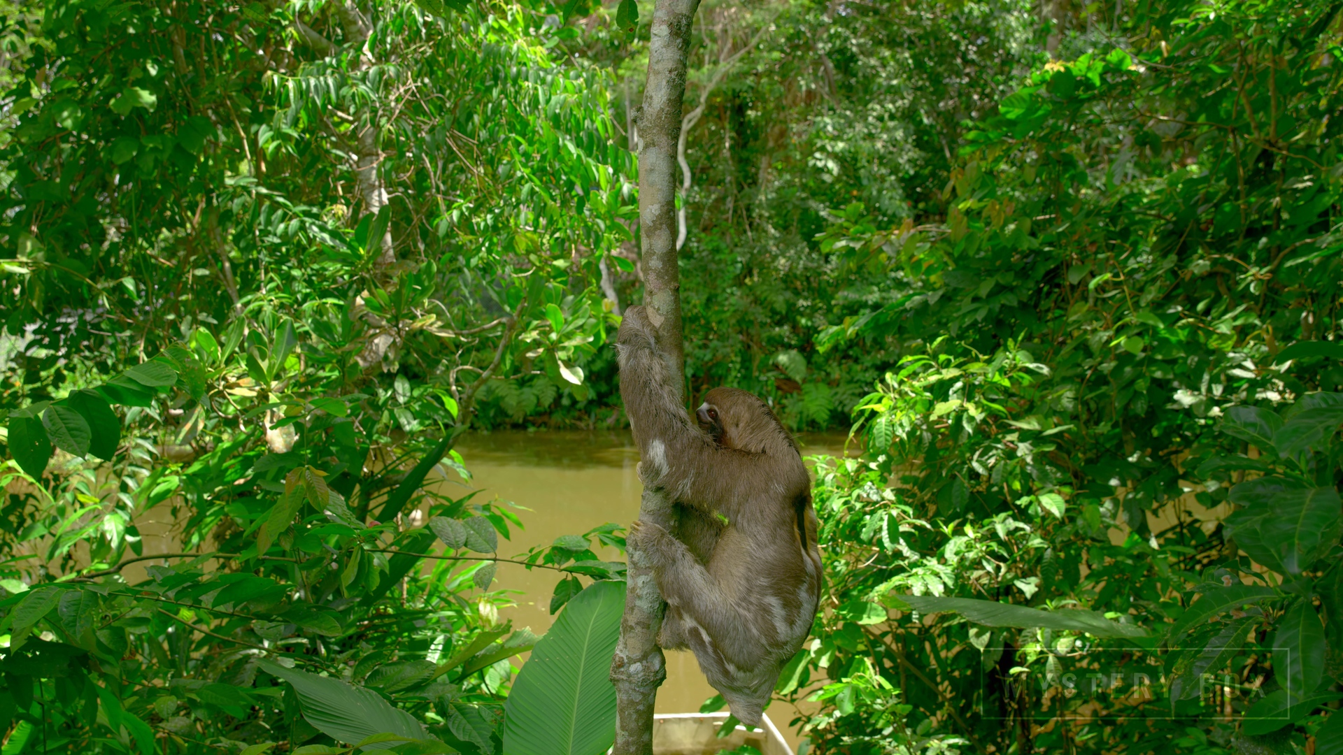 [J&amp;K.8K.视频] 秘鲁Peru 60FPS VP9.webm_000059.986.jpg