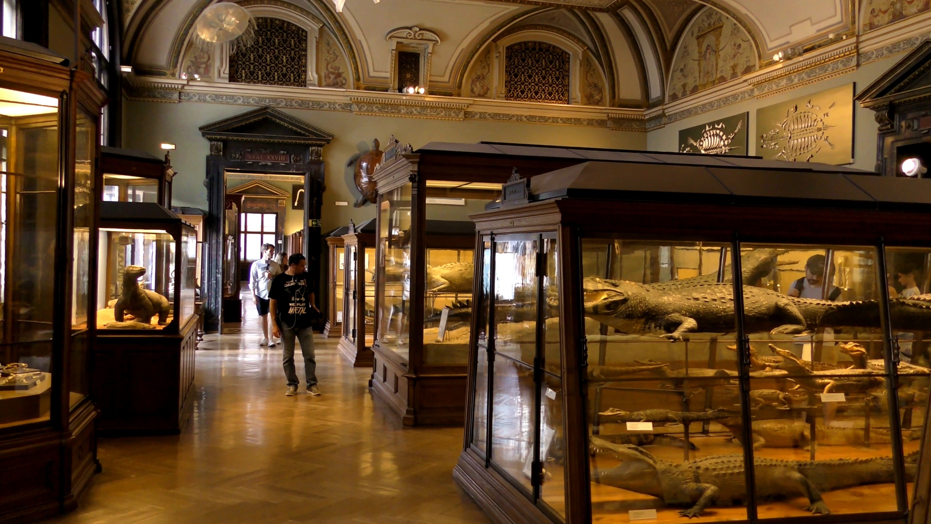 [8K超清视频] 维也纳 8K卓越的印象Exceptional impressions from Vienna 8K.mp4_00002.jpg