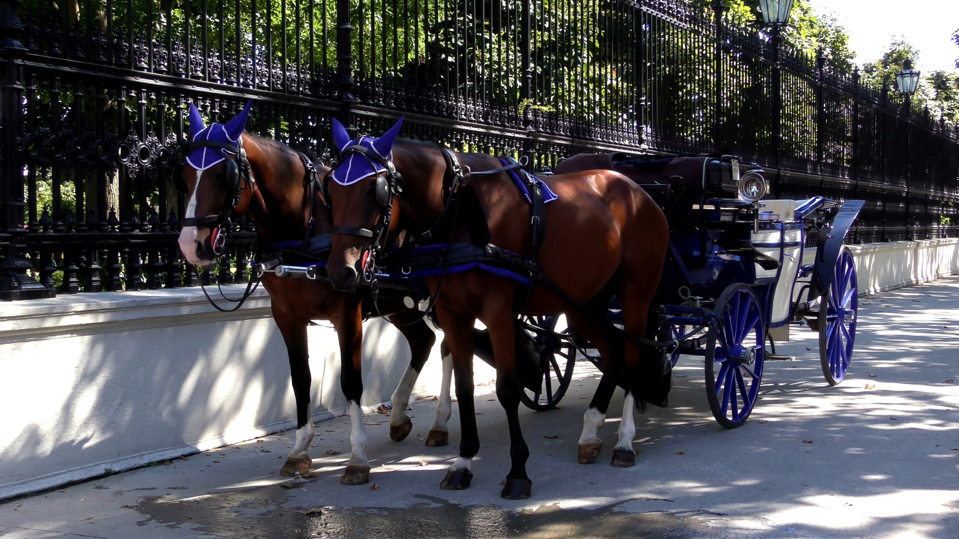 [8K超清视频] 维也纳 8K卓越的印象Exceptional impressions from Vienna 8K.mp4_00003.jpg