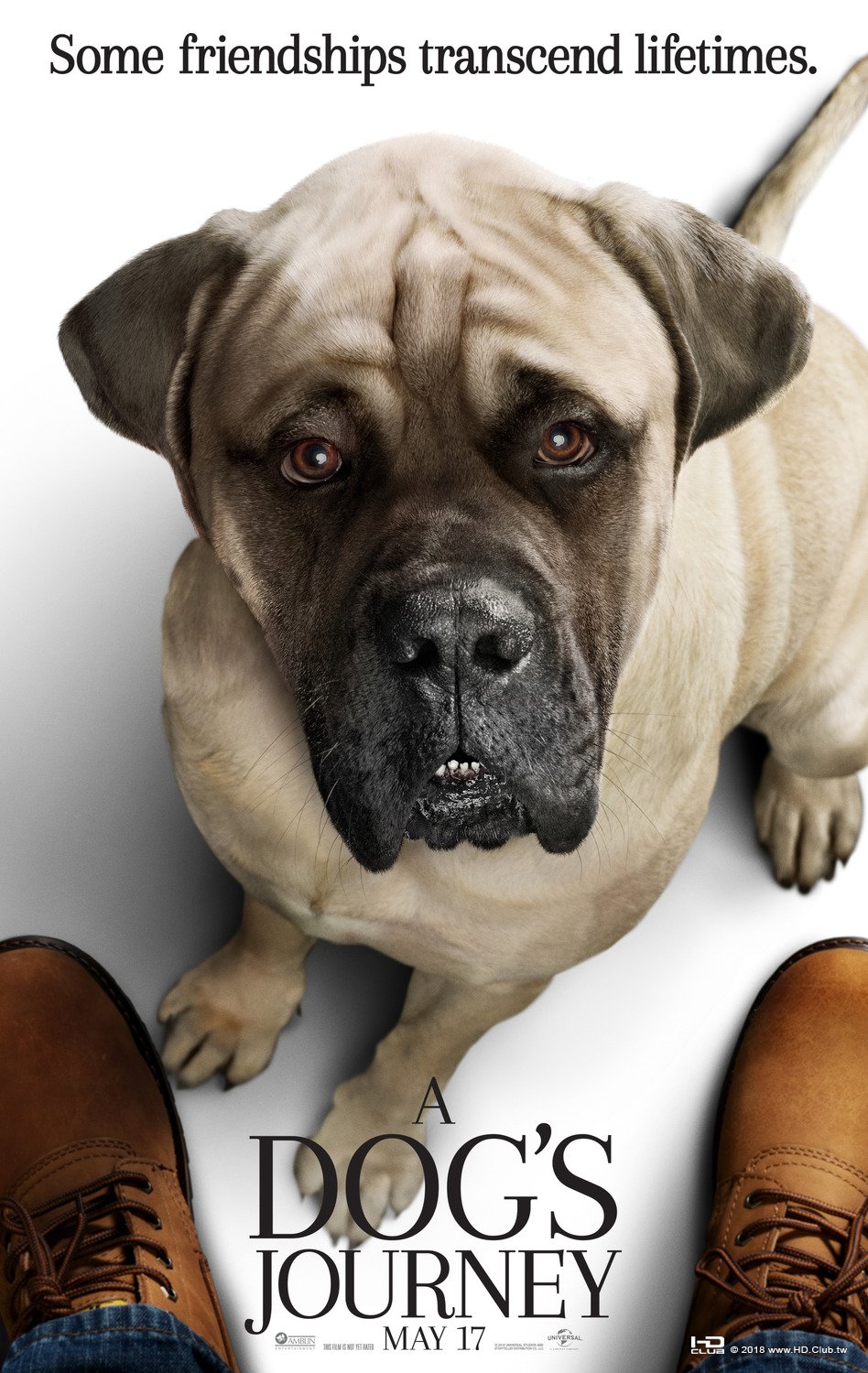 dogs_journey_ver2_xlg.jpg