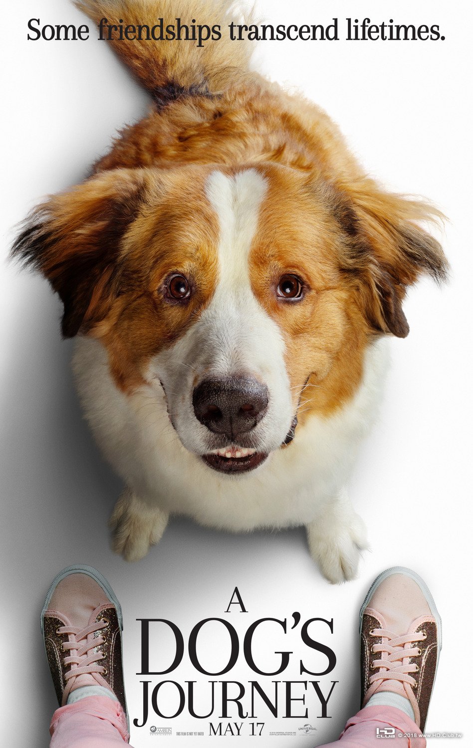dogs_journey_xlg.jpg