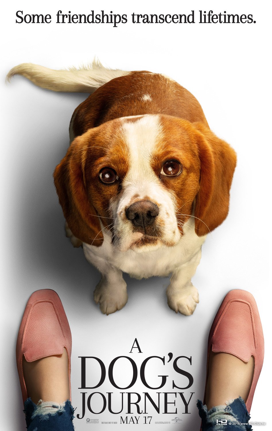 dogs_journey_ver4_xlg.jpg